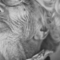 What is the most common type of elder abuse?