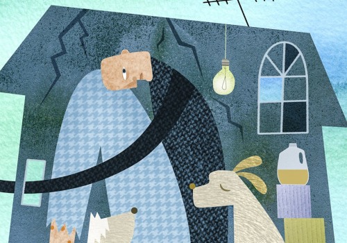 What are the main causes of elder abuse?